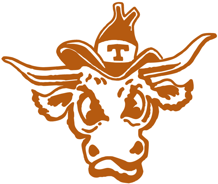 Texas Longhorns 1977-Pres Alternate Logo t shirts DIY iron ons